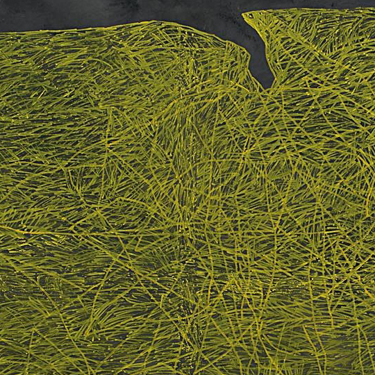 Pintura verd amb ratlles grogues